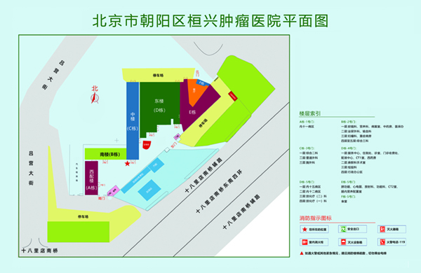 大屌肏骚屄视频网址北京市朝阳区桓兴肿瘤医院平面图